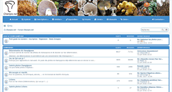 Desktop Screenshot of forums.champis.net
